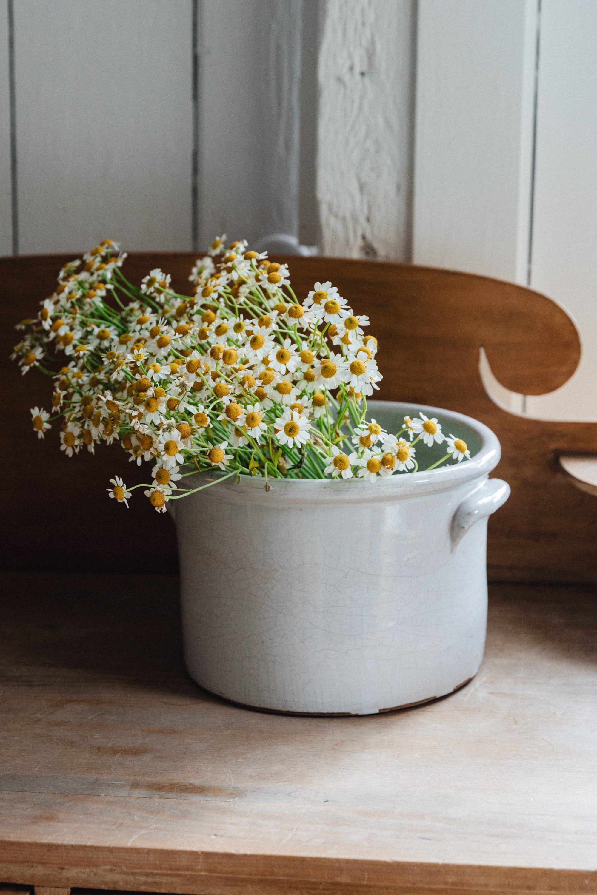 Antique French Stoneware Crock